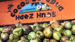 tienda de comestibles mayorista aguascalientes Cocos Hernandez