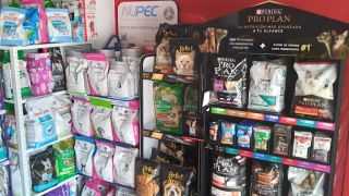 tienda de alimentos para animales aguascalientes Croquetas a Domicilio Aguascalientes