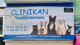 hospital veterinario aguascalientes Clinikan Hospital Veterinario