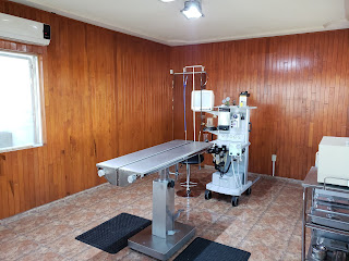 hospital veterinario aguascalientes HOSPITAL VETERINARIO CANEM