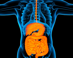 cirujano gastrointestinal aguascalientes Clínica de Malestares Digestivos