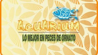 tienda de peces apodaca ACUARIUM-MTY