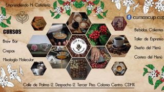 cursos capacitacion profesional ciudad de mexico cup & cup centro de capacitación de cafeterías y bares ( cursos de barismo)