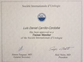 analisis cancer prostata ciudad de mexico Dr. Luis Daniel Carrillo Córdova