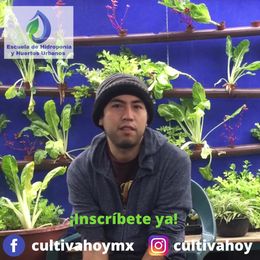 huertos urbanos en ciudad de mexico Escuela de Hidroponia CDMX