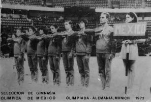 clases gimnasia ritmica ciudad de mexico Gimnasia Olímpica Ludskanov