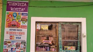 tiendas para comprar olivos ciudad de mexico TIENDITA ROSITA
