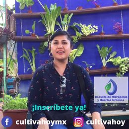 cursos jardineria ciudad de mexico Escuela de Hidroponia CDMX