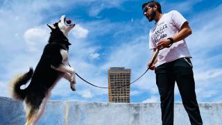 dog sitter ciudad de mexico Pet’s Time