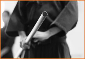 academias de japones en ciudad de mexico Centro México Asia. Aikido. iaido. idioma japonés. Estudio Pilates
