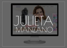 disenador web freelance ciudad de mexico Mestre Diseño Web