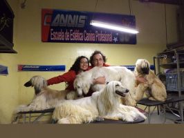 cursos veterinaria ciudad de mexico Escuela Estetica Canina Profesional Canis