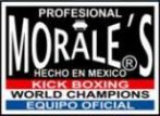 Equipo de Proteccion y Entrenamiento para Peleas de Contacto Completo marca Morales, Kick Boxing, Muay Thai, Boxeo y MMA