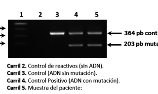 analisis genetico ciudad de mexico Genética y Estudios Cromosómicos y Moleculares S.C.