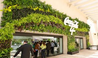jardin vertical ciudad de mexico EcoYaab Jardines Verticales y Muros Verdes llenos de Vida