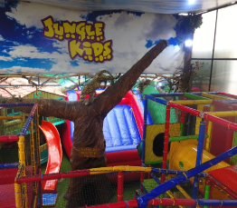fiestas de cumpleanos para ninos en ciudad de mexico Jungle Kids Tlalpan