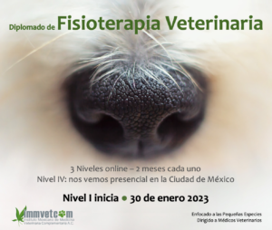 cursos medicina veterinaria y zootecnia ciudad de mexico IMMVetcom A.C.