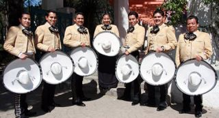 mariachis ciudad de mexico Contrataciones de Mariachis