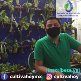 cursos de paisajismo en ciudad de mexico Escuela de Hidroponia CDMX