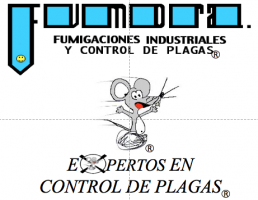 desratizacion ciudad de mexico Fumora Fumigaciones Industriales