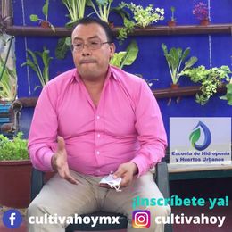 huertos urbanos en ciudad de mexico Escuela de Hidroponia CDMX