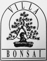 clases bonsai ciudad de mexico Villa Bonsai / Bazar Morelia