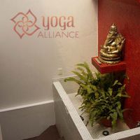 clases yoga ciudad de mexico Green Yoga Condesa
