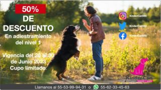 guarderia canina ciudad de mexico Kinder Can Tacuba