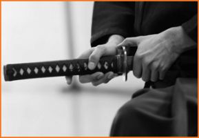 centros para practicar kendo en ciudad de mexico Centro México Asia. Aikido. iaido. idioma japonés. Estudio Pilates