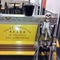 restaurante de shawarma chihuahua Tacos Orientales de Cuernavaca