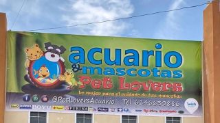 tienda de reptiles chihuahua Pet Lovers Acuario & Mascotas