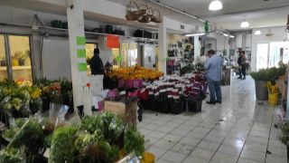 mercado de flores chihuahua Flores y Plantas La Finca Chihuahua