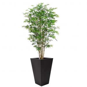 Árbol de Bamboo 6′
