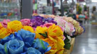 tienda de flores secas chihuahua Doña Flor Crafts