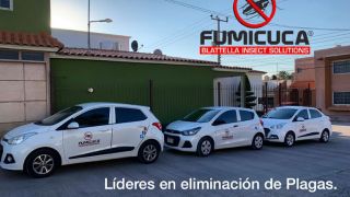 empresa de fumigacion y control de plagas chihuahua Fumigaciones Contreras by Fumicuca