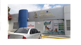 hospital veterinario chihuahua Alpha Hospital Veterinario