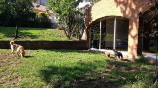 guarderia para perros chimalhuacan Hospedaje Canino