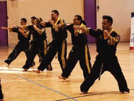 escuela de artes marciales ciudad lopez mateos Lima Lama, Kick Boxing y Full Contact Tigres Dorados