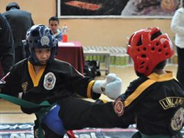 escuela de artes marciales ciudad lopez mateos Lima Lama, Kick Boxing y Full Contact Tigres Dorados