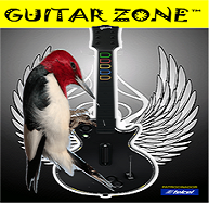 tienda de instrumentos musicales usados ciudad lopez mateos Guitar Zone