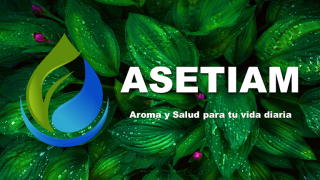 servicio de aromaterapia ciudad lopez mateos Asetiam Aroma y Salud para tu vida diaria