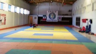 area de competicion de tae kwon do ciudad lopez mateos Taekwondo AMDAM BOSQUES