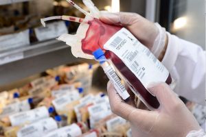 banco de sangre ciudad lopez mateos Banco de sangre instituto Nacional de Cardiología Ignacio Chávez
