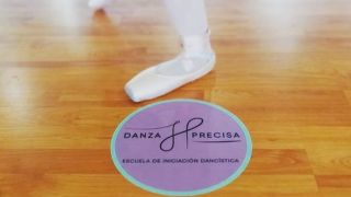 escuela de flamenco cuautitlan izcalli Danza Precisa
