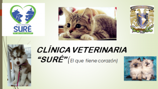 servicio veterinario de emergencia cuautitlan izcalli Clínica Veterinaria Sure