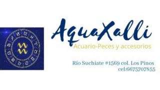 tienda de peces tropicales culiacan rosales Acuario Aquaxalli