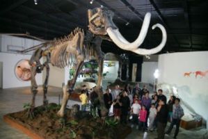 museo del ferrocarril ecatepec de morelos Museo de Historia Natural de Ecatepec