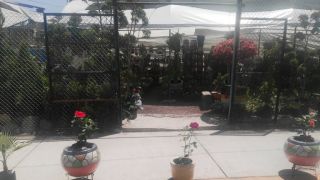 centro jardineria ecatepec de morelos Vivero 