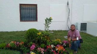 servicio de arboles heroica matamoros Vivero y jardinería las flores