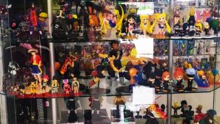 tienda de insumos de dardos heroica matamoros Anime store Matamoros